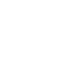 Digital E-commerce